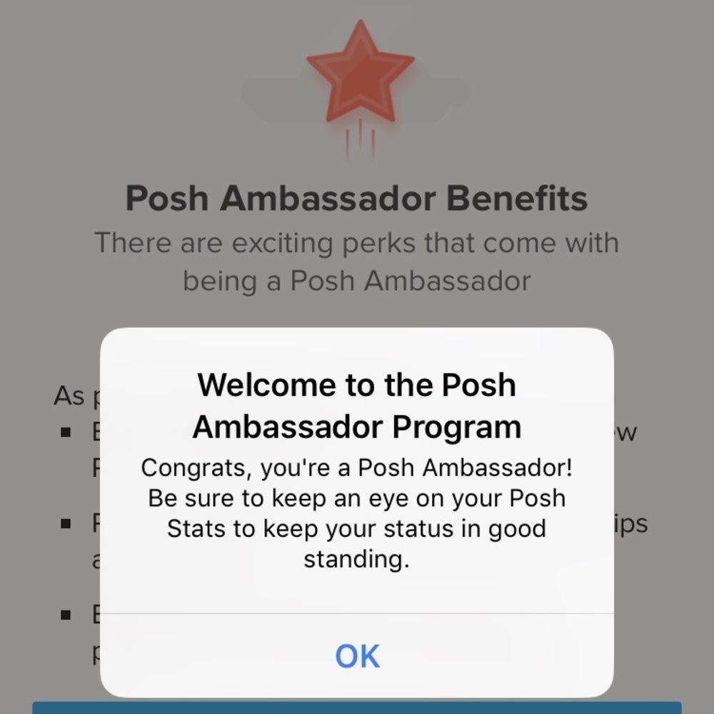 🎉🍾🤩POSH AMBASSADOR🤩🍾🎉 - Picture 3 of 3